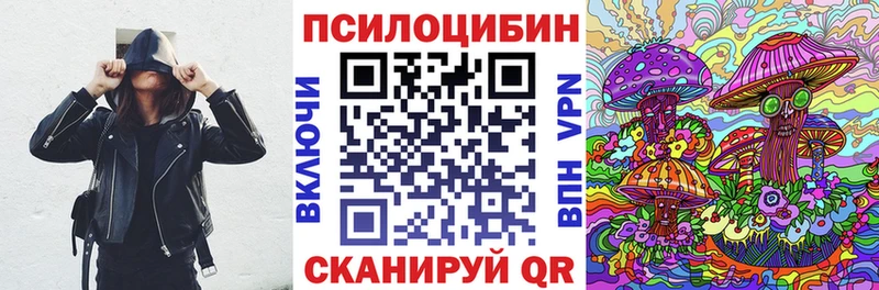 закладка  Кодинск  Галлюциногенные грибы мухоморы 