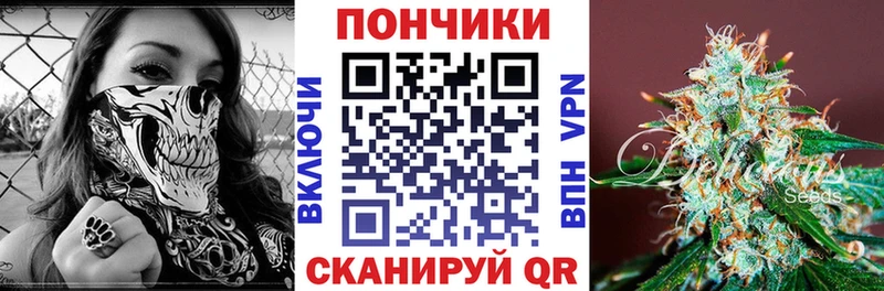 Каннабис сатива Кодинск